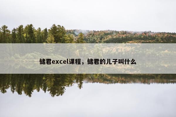 储君excel课程，储君的儿子叫什么