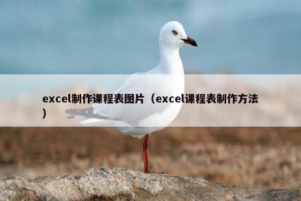 excel制作课程表图片（excel课程表制作方法）