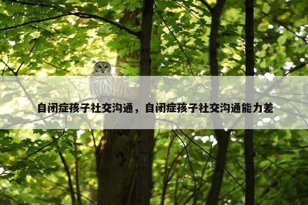 自闭症孩子社交沟通，自闭症孩子社交沟通能力差