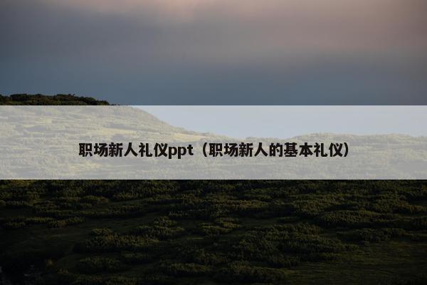 职场新人礼仪ppt（职场新人的基本礼仪）
