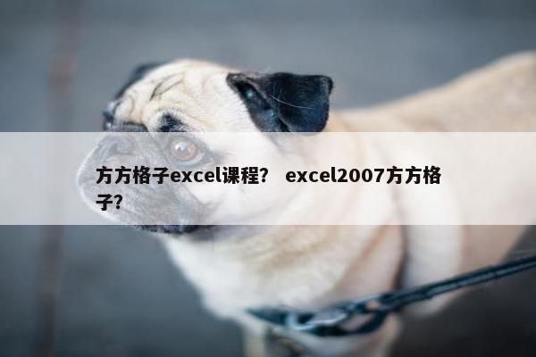 方方格子excel课程？ excel2007方方格子？