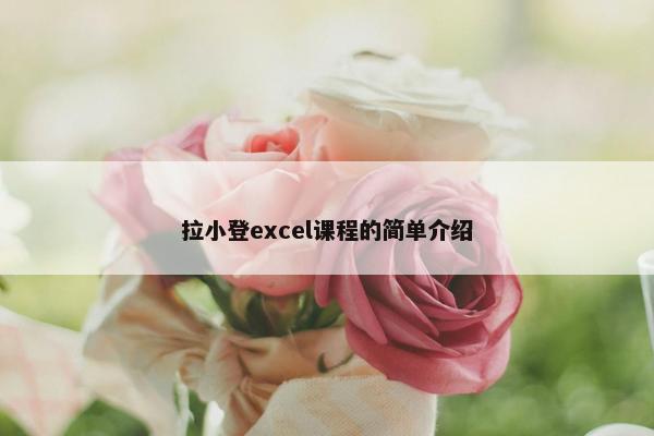拉小登excel课程的简单介绍