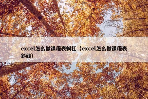 excel怎么做课程表斜杠（excel怎么做课程表斜线）
