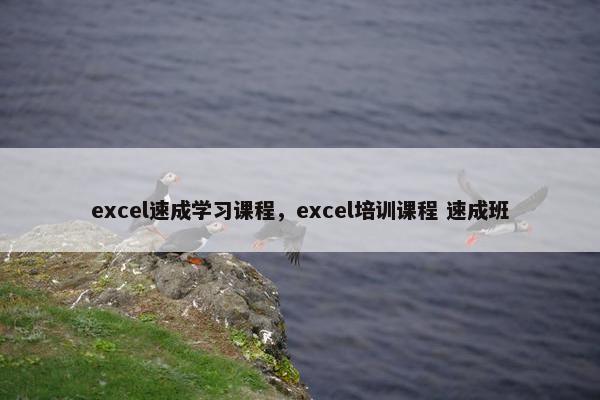 excel速成学习课程，excel培训课程 速成班