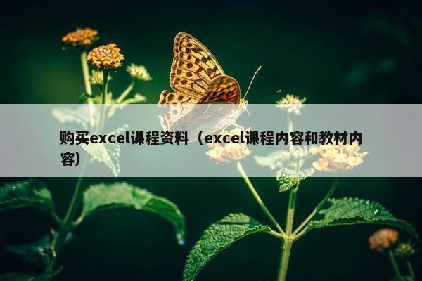 购买excel课程资料（excel课程内容和教材内容）
