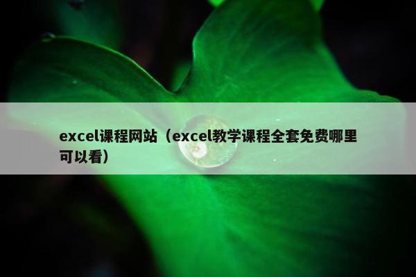 excel课程网站（excel教学课程全套免费哪里可以看）