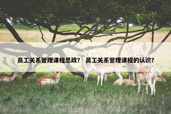 员工关系管理课程思政？ 员工关系管理课程的认识？
