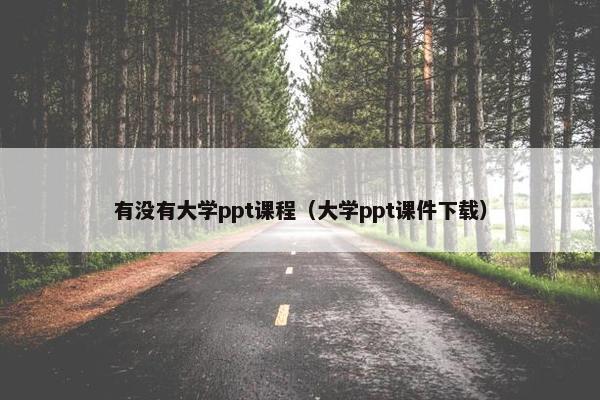 有没有大学ppt课程（大学ppt课件下载）