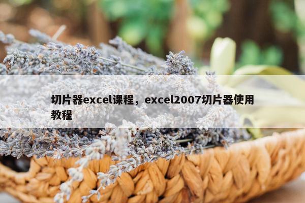 切片器excel课程，excel2007切片器使用教程
