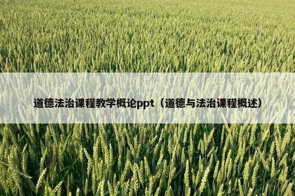 道德法治课程教学概论ppt（道德与法治课程概述）