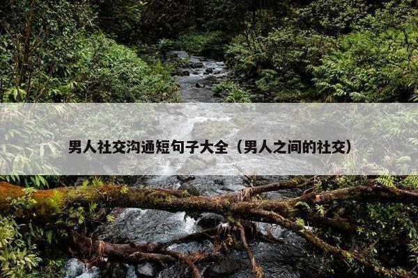 男人社交沟通短句子大全（男人之间的社交）