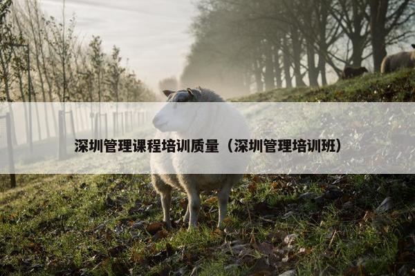 深圳管理课程培训质量（深圳管理培训班）
