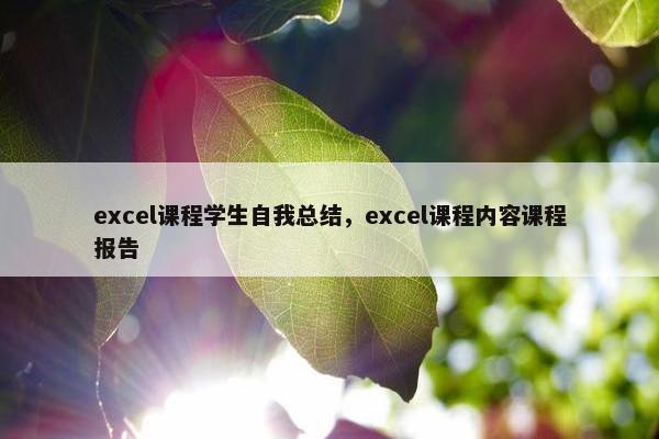excel课程学生自我总结，excel课程内容课程报告