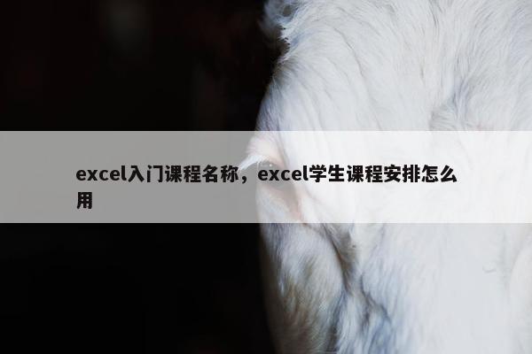 excel入门课程名称，excel学生课程安排怎么用