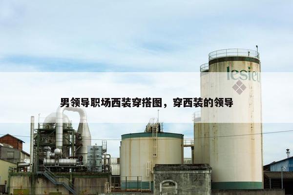 男领导职场西装穿搭图，穿西装的领导