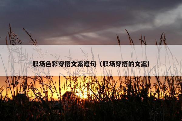 职场色彩穿搭文案短句（职场穿搭的文案）