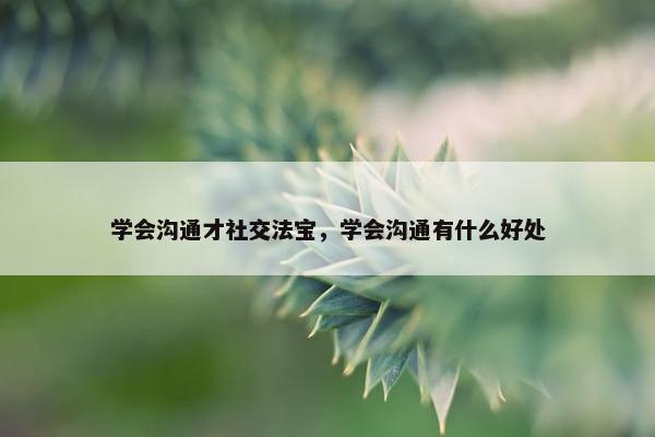 学会沟通才社交法宝，学会沟通有什么好处