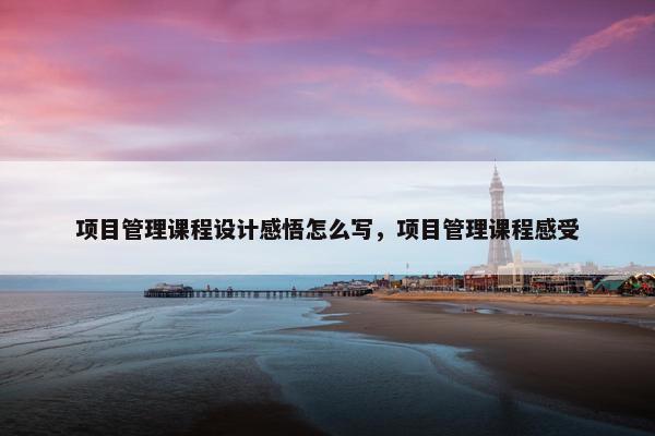 项目管理课程设计感悟怎么写，项目管理课程感受