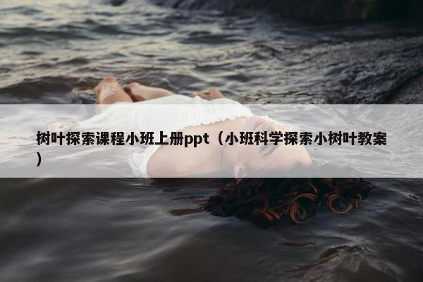 树叶探索课程小班上册ppt（小班科学探索小树叶教案）