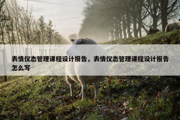 表情仪态管理课程设计报告，表情仪态管理课程设计报告怎么写