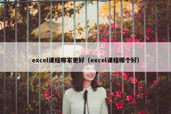 excel课程哪家更好（excel课程哪个好）