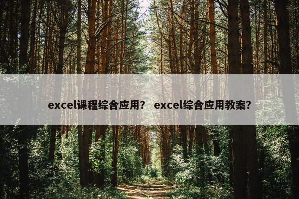 excel课程综合应用？ excel综合应用教案？