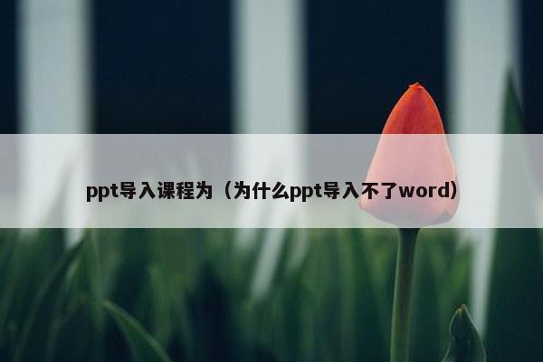ppt导入课程为（为什么ppt导入不了word）