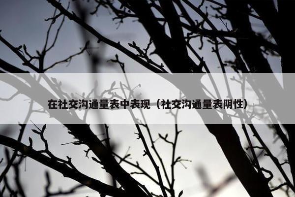 在社交沟通量表中表现（社交沟通量表阴性）