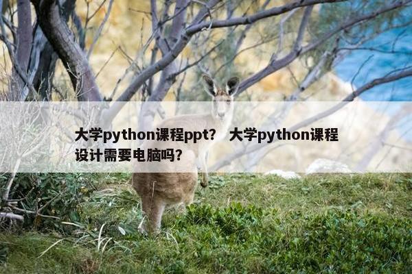 大学python课程ppt？ 大学python课程设计需要电脑吗？