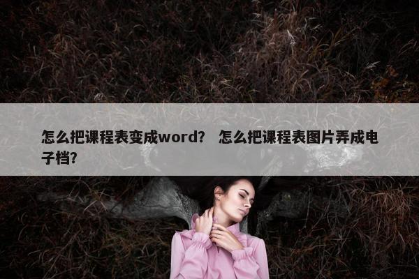 怎么把课程表变成word？ 怎么把课程表图片弄成电子档？