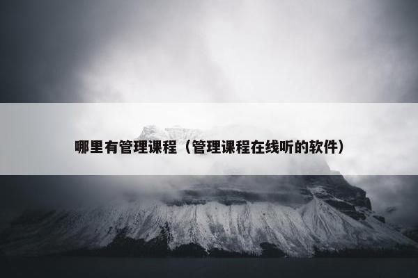 哪里有管理课程（管理课程在线听的软件）