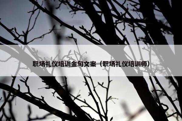 职场礼仪培训金句文案（职场礼仪培训师）