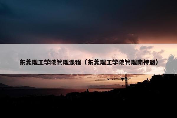 东莞理工学院管理课程（东莞理工学院管理岗待遇）