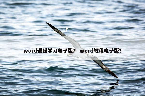 word课程学习电子版？ word教程电子版？