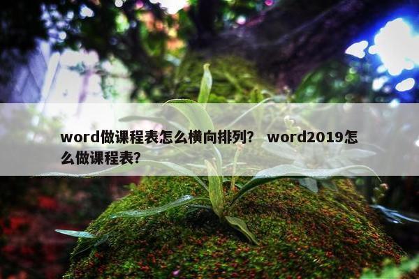 word做课程表怎么横向排列？ word2019怎么做课程表？