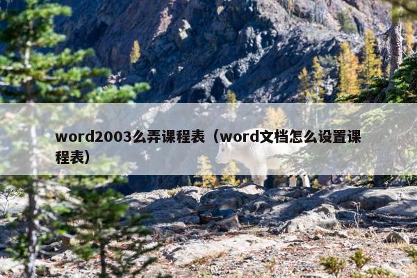 word2003么弄课程表（word文档怎么设置课程表）