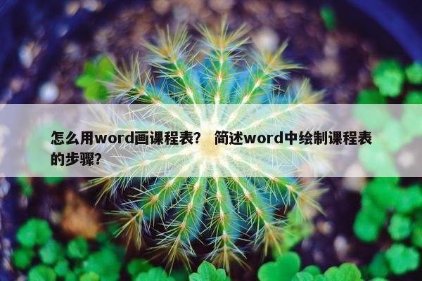 怎么用word画课程表？ 简述word中绘制课程表的步骤？