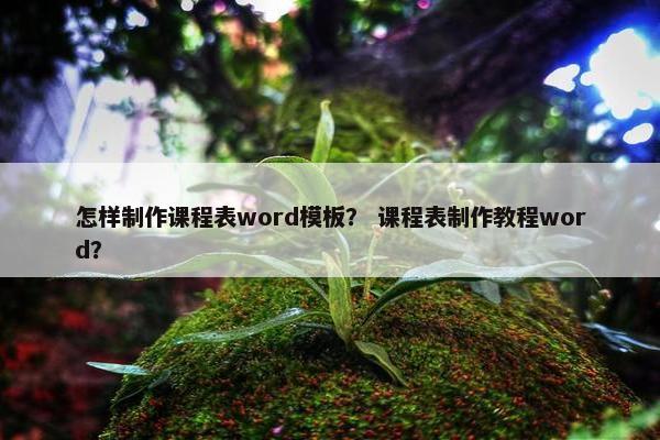 怎样制作课程表word模板？ 课程表制作教程word？