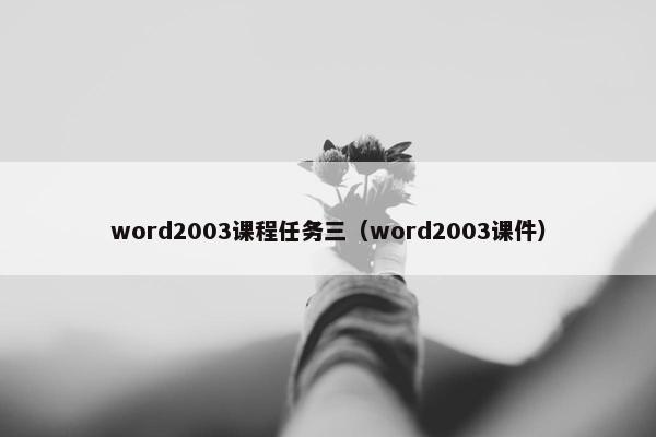 word2003课程任务三（word2003课件）