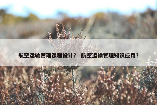 航空运输管理课程设计？ 航空运输管理知识应用？