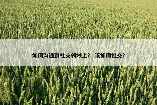 如何沟通到社交领域上？ 该如何社交？