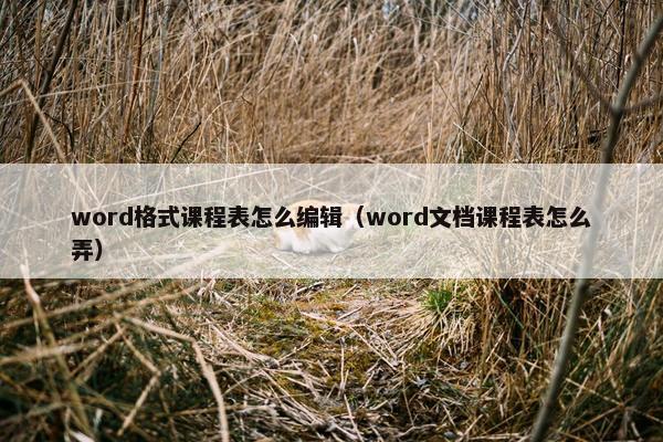 word格式课程表怎么编辑（word文档课程表怎么弄）