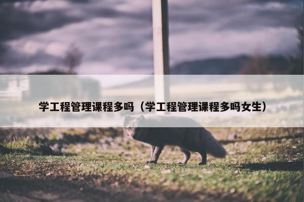 学工程管理课程多吗（学工程管理课程多吗女生）