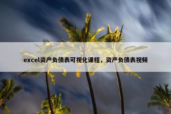 excel资产负债表可视化课程，资产负债表视频