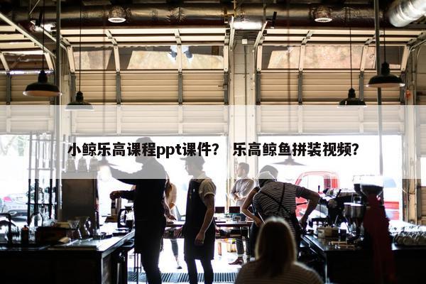 小鲸乐高课程ppt课件？ 乐高鲸鱼拼装视频？
