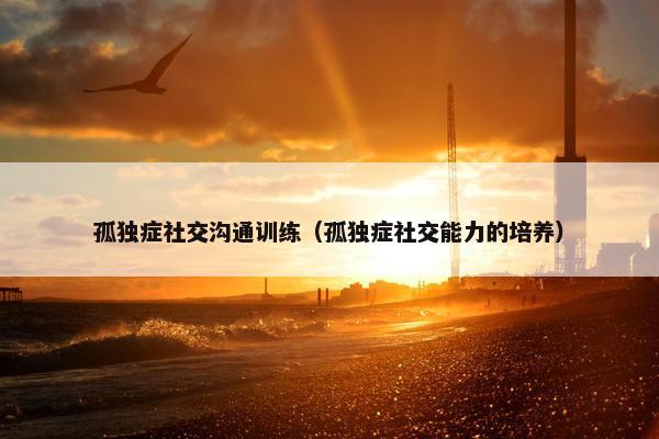 孤独症社交沟通训练（孤独症社交能力的培养）
