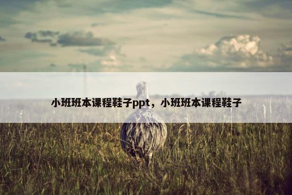 小班班本课程鞋子ppt，小班班本课程鞋子