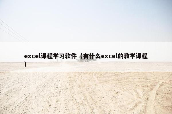excel课程学习软件（有什么excel的教学课程）