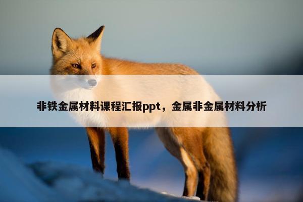 非铁金属材料课程汇报ppt，金属非金属材料分析