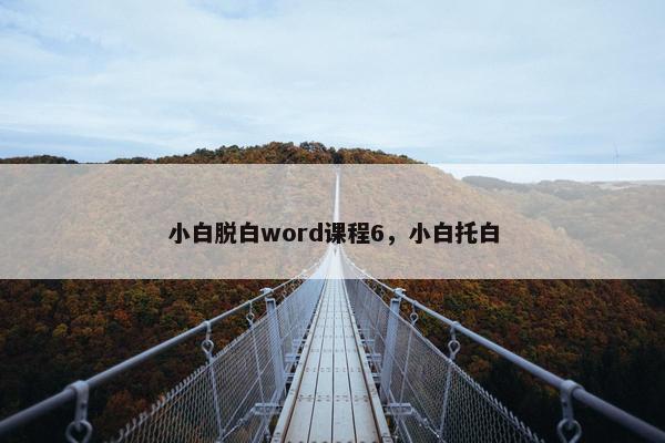 小白脱白word课程6，小白托白